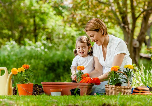 جسمانی سرگرمیوں کی اہمیت اور ضرورت. istockphoto